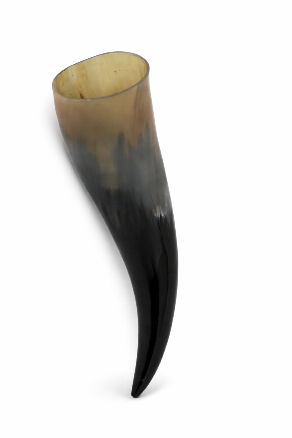 Handcrafted Real Buffalo Drinking Horn – Natural Polished Finish