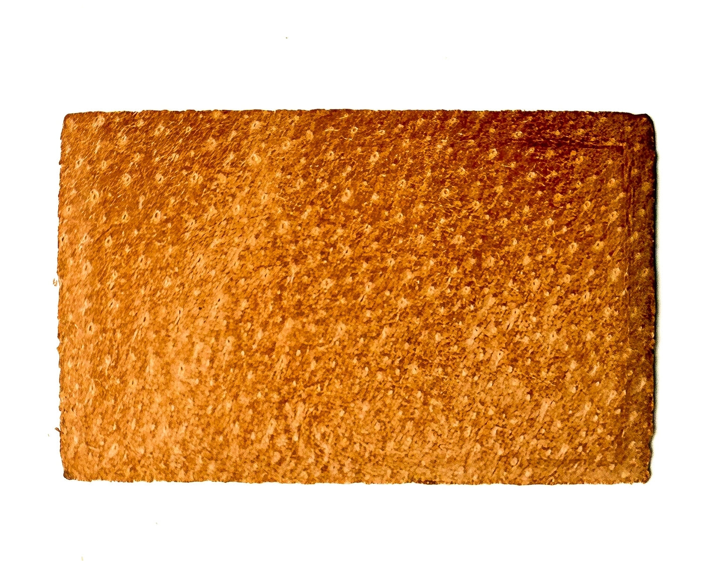 Leather Shaft & Tip Burnisher